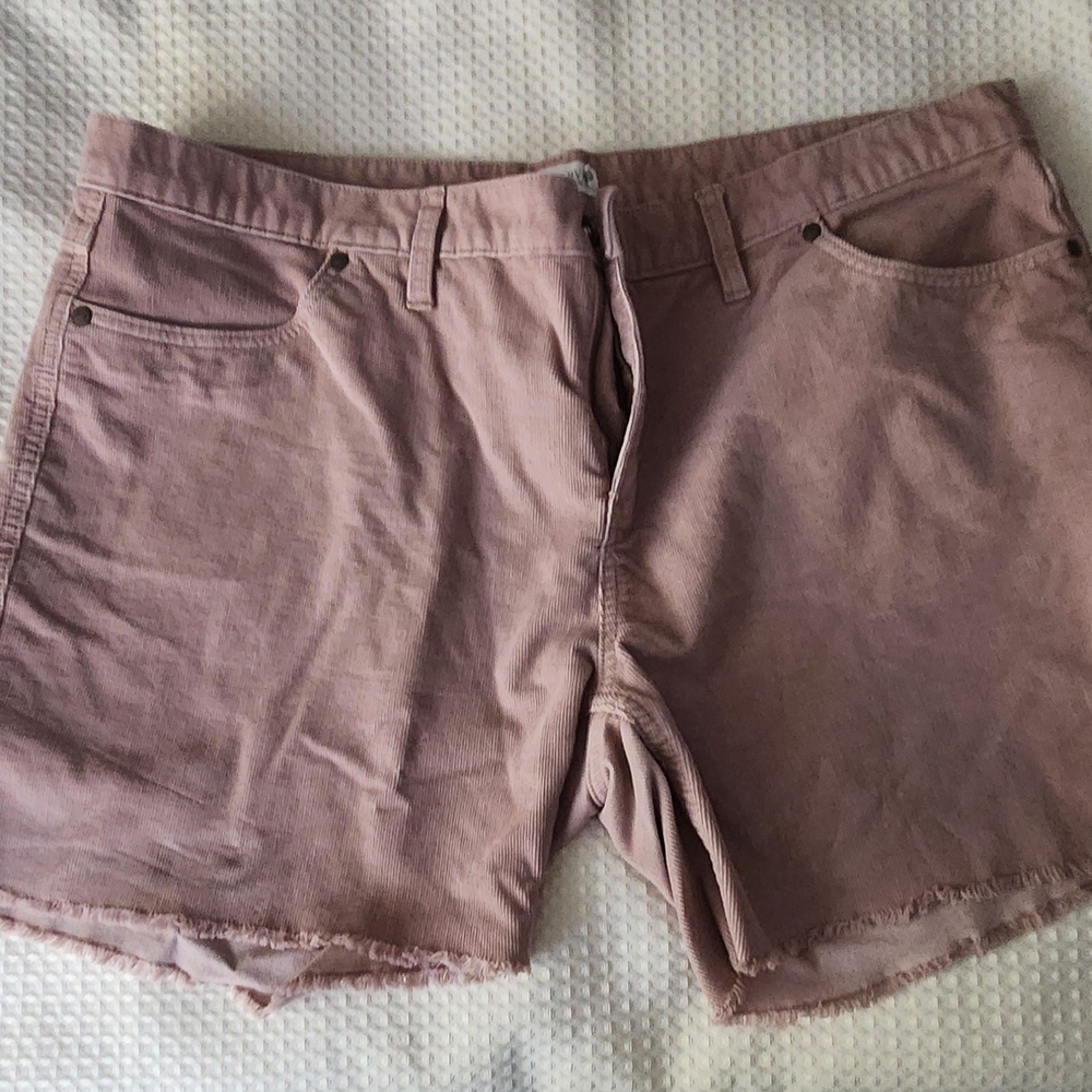 Carve Designs Mauve Jean Shorts